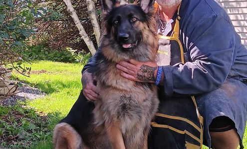 Walmart Photo Centre North Sydney