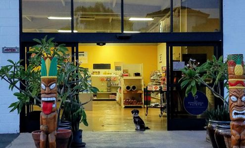 Santa Barbara Paint Depot-Benjamin Moore Paint Supplier