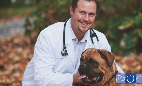 Wallaceburg Animal Hospital 30 McNaughton Ave, Wallaceburg Ontario N8A 1R9