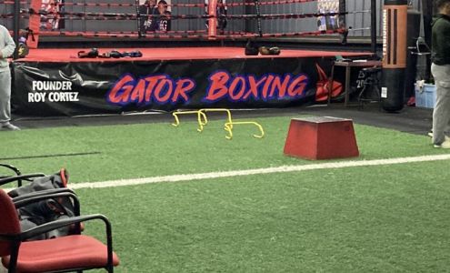 Gator Boxing