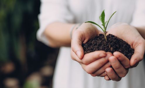 Garden-Ville Starcrest