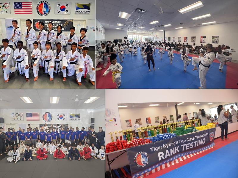 Tiger Kyong's Top Class Taekwondo