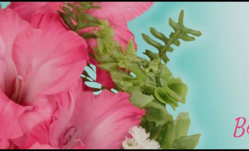 Bouquet Flowers & More