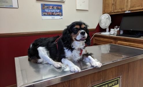 Altas Palmas Animal Clinic: Putnam Lorna S DVM 201 Stuart Place Rd, Harlingen Texas 78552