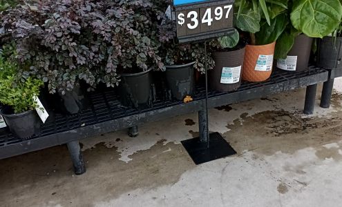 Walmart Garden Center