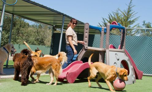 Acres Of Animals Boarding Kennel