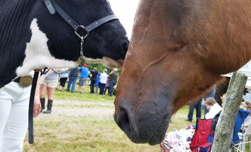 Ocean Breeze Feed & Farm Supplies Yarmouth