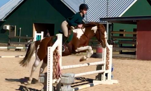 Victory Stables Equestrian Academy Martindale