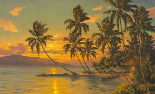 Daryl Millard Gallery