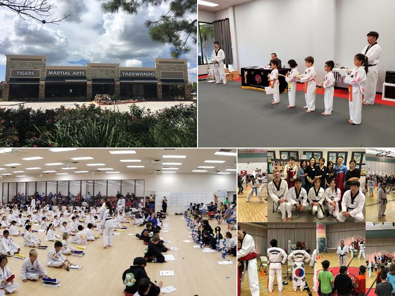 Hwarang Tigers Taekwondo / Martial Arts Group