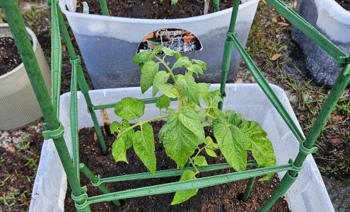 Whitwam Organics (Order Online- pickup or delivery- not open to walk-in business)