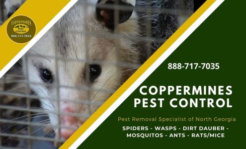 Coppermines Pest Control
