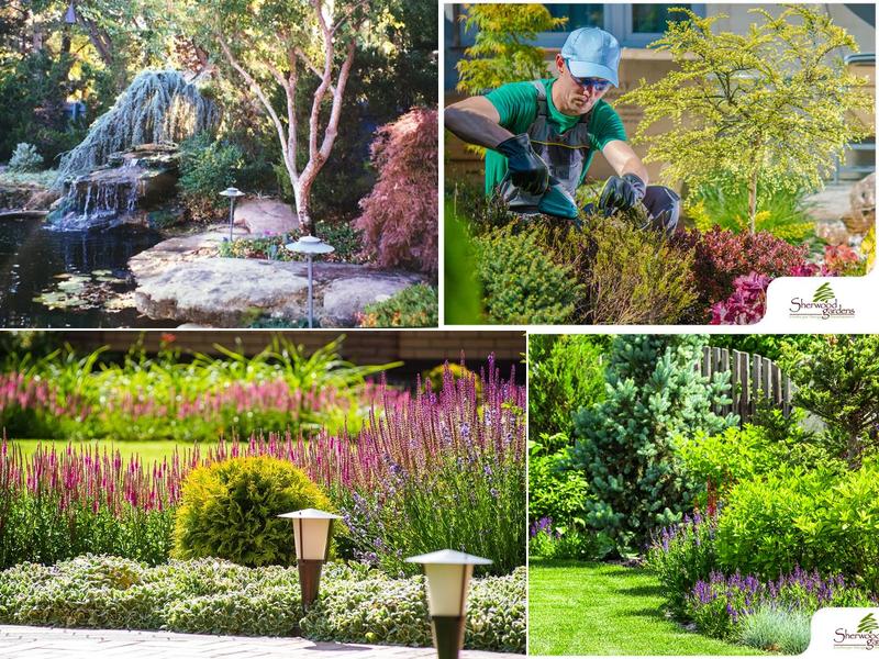 Sherwood Gardens Landscape Design & Development