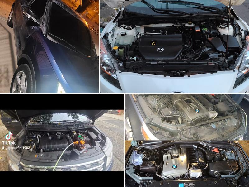 MULTISERVICE HB, Advisory