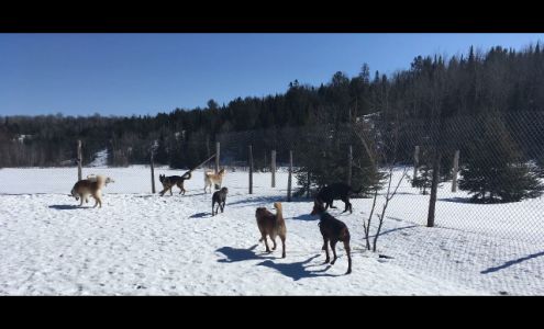 Critter Sitter Kennel 691 Pleasant Valley Rd, Espanola Ontario ON P5E