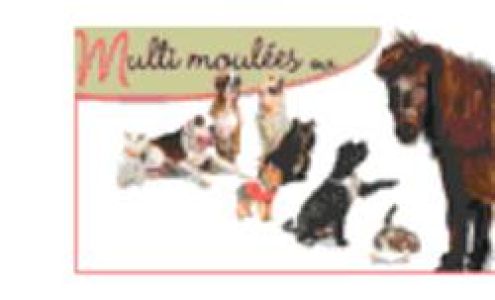 Multi Moulees Enr Sorel-Tracy