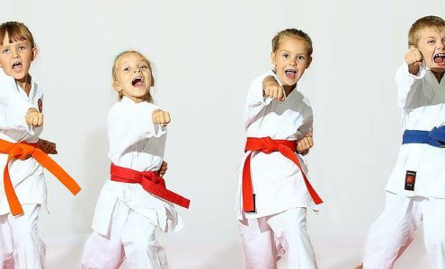 Martial Arts Advantage