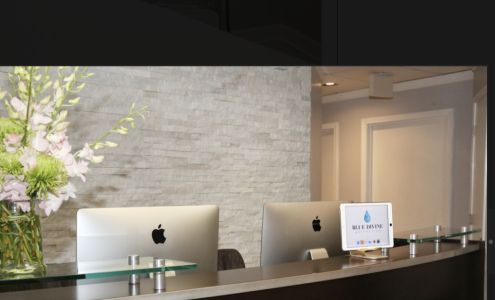 Blue Divine Aesthetics