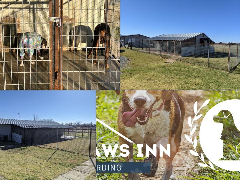 4 Paws Inn & Spa
