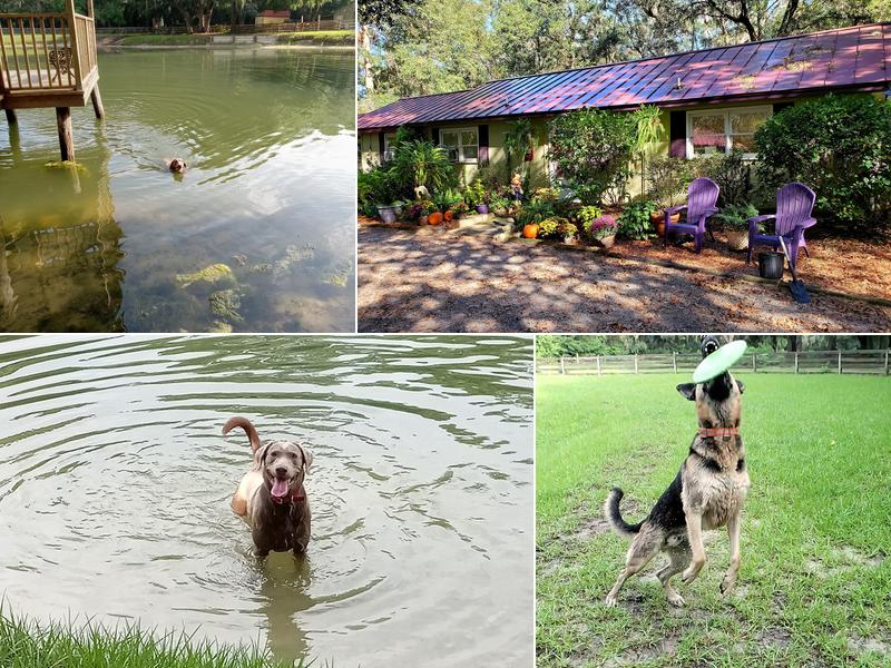 Silversmith Farm Boarding Kennel, LLC