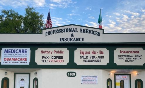 Professional Services & Insurance