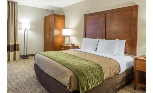 Quality Inn Summerville-Charleston