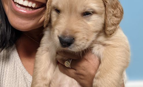 The Home Place Bed & Biscuit 6419 The Home Pl, Awendaw South Carolina 29429