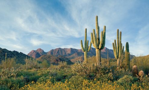 Lisa Zaklan Real Estate - West USA Realty