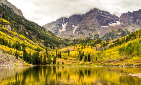 Janis Properties - Dave Janis