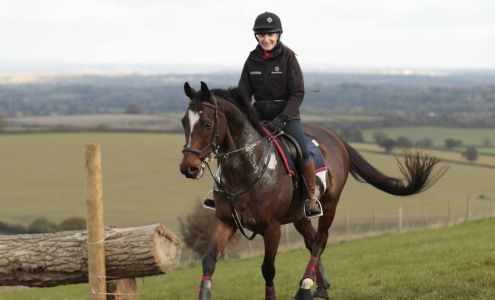 Science Supplements Inc