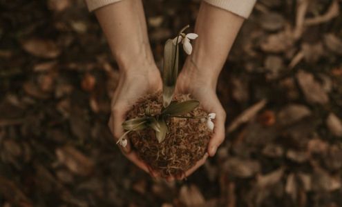 Rural Connections Family Resource Network Westlock