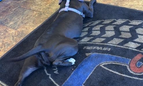 D?s Auto Repair Willard