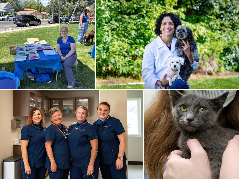 Neighborhood Veterinary Care