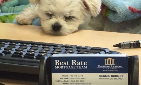 Best Rate Mortgage DLC Blue Tree Mortgages West