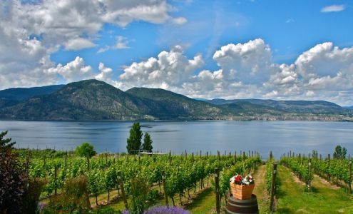 DLC Clear Trust Mortgages David Yeung