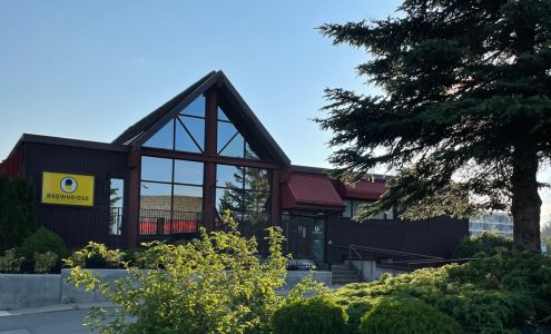 Brownridge & Company Insurance Services Inc