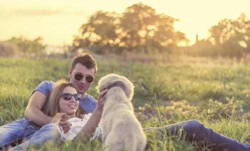 Integris Insurance Services Ltd. - 5th & Central Branch