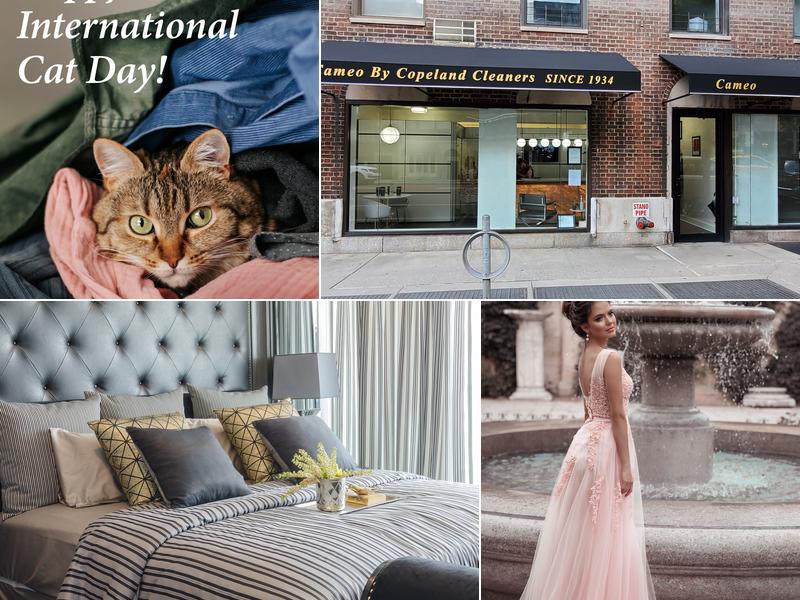 Cameo by Copeland LLC - New York, NY