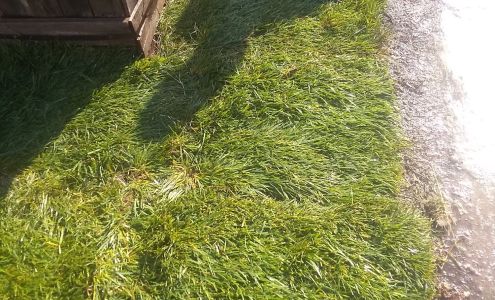 Lone Star Home & Garden