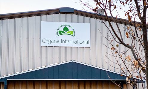 Organa International