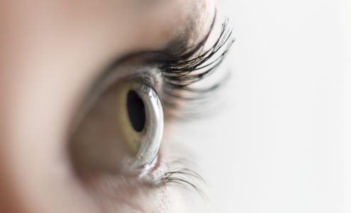 South Ogden Eyecare - Shawn Murray, OD 3656 Wall Ave, South Ogden Utah 84405