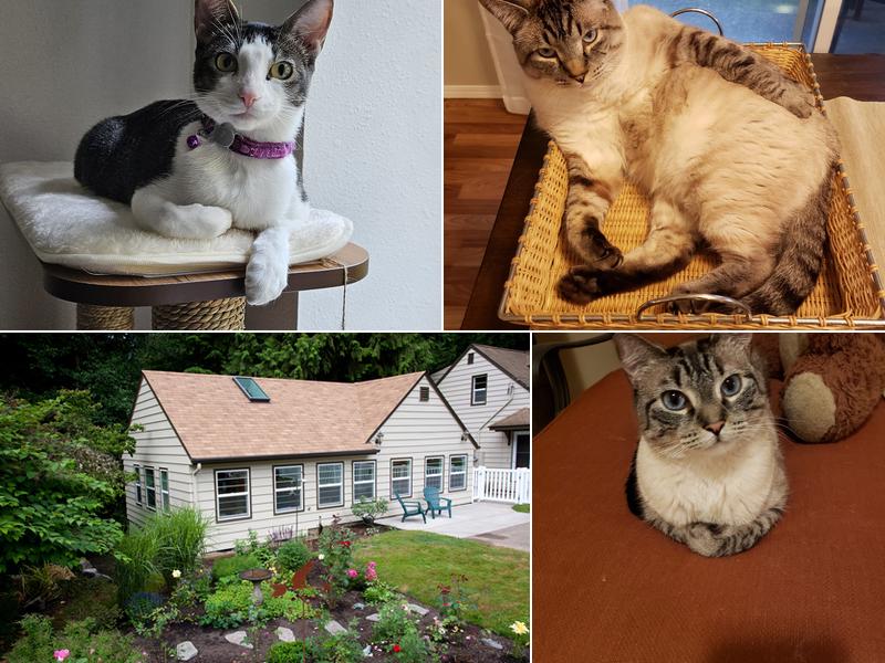 Arnold Creek Cat Retreat