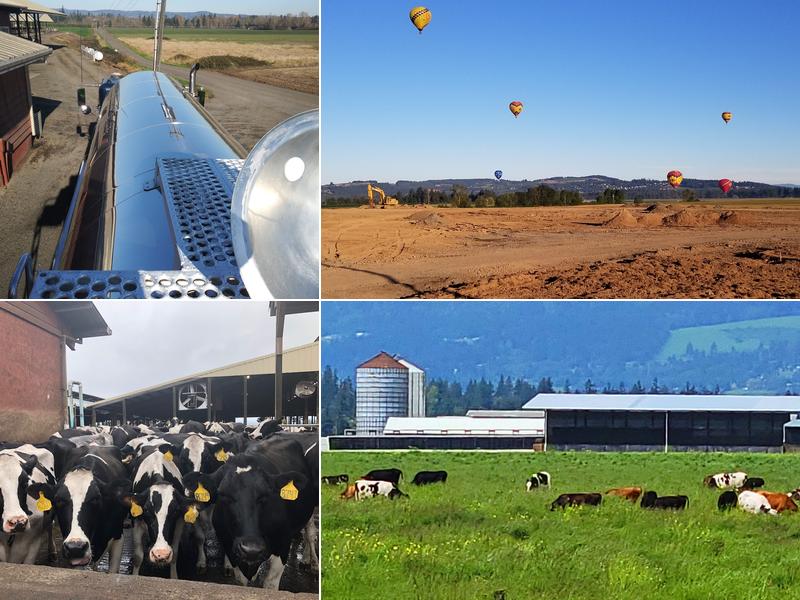 Hazenberg Dairy 5828 Champoeg Rd NE, St Paul