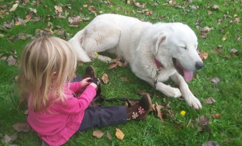 All Creatures Under The Sun Aumsville