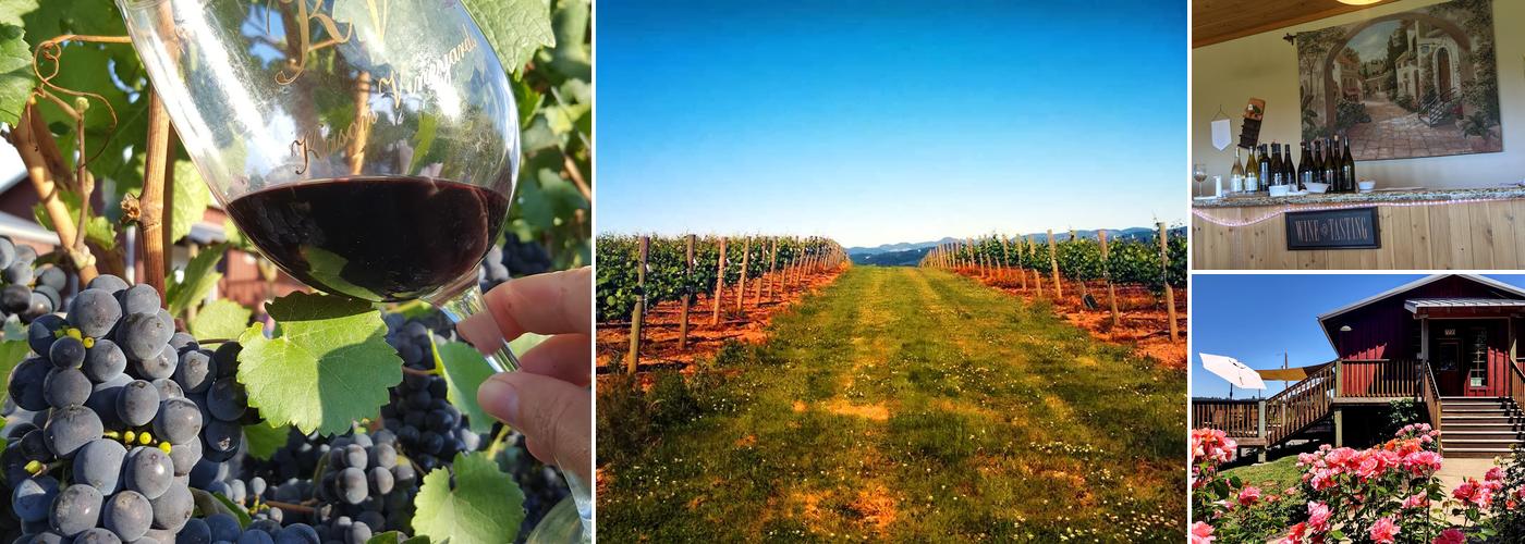 Kason Vineyards