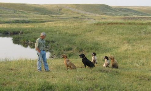 Big Sky Kennels