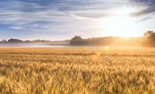 Fouts Insurance Osborne