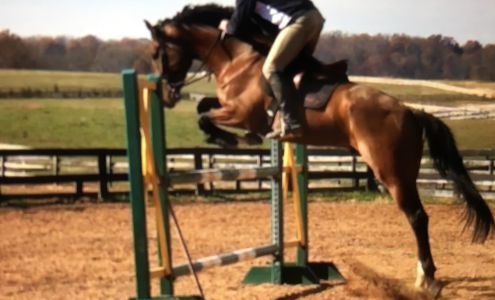 River Chase Farm 40332 Courtland Farm Ln, Aldie Virginia 20105