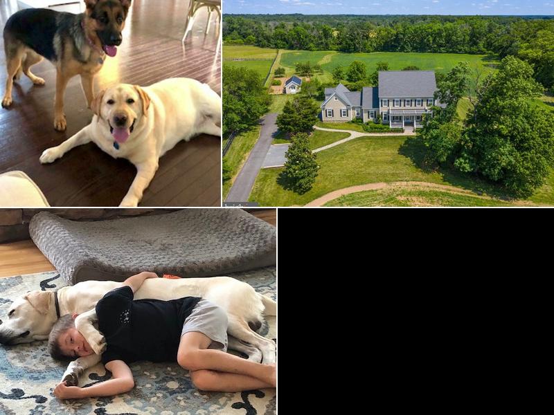 Sugar Maple Farm K9 Boarding and Day Care