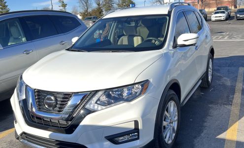 Elevated Automotive Merriam